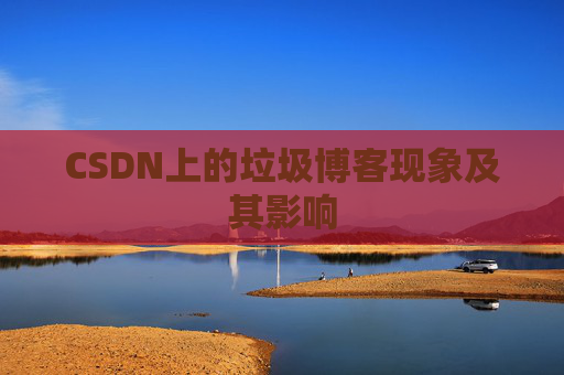 CSDN上的垃圾博客现象及其影响